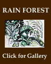 Gallery - Rain Forest